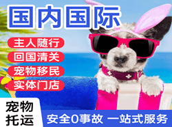 天水麦积山航空运输国际宠物托运 【国